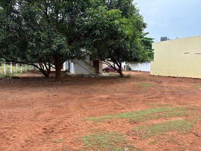 Pedathadivada Plot View 1
