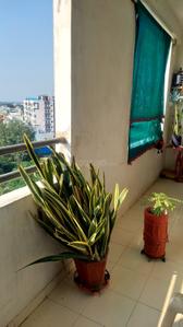 Balcony Image of 1450 Sq.ft 3 BHK Apartment / Flat for sale in Vijay Nagar Indore for Rs. 9000000