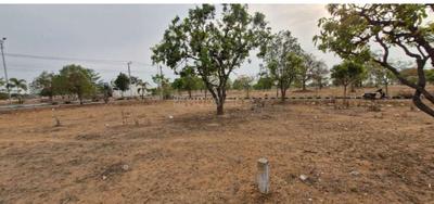 Mulug Plot View 2