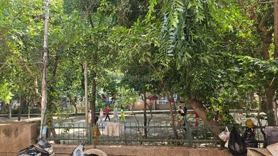 Image of 538 Sq.ft 1 BHK Builder Floor for rent in Sector 12, Noida for Rs. 16008