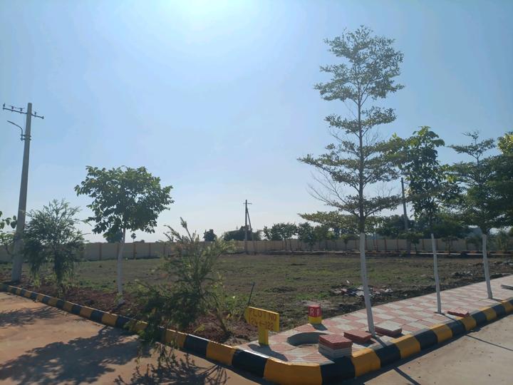 Alekhya NSR County Phase I Main Image 1