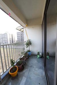 Balcony Image of 1575 Sq.ft 3 BHK Apartment / Flat for sale in Vasna Ahmedabad for Rs. 10500000