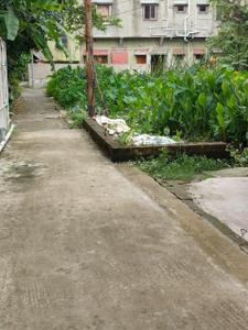 Image of 1440 Sq.ft Residential Plot / Land for sale in Birati, Kolkata for Rs. 3050000