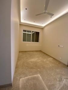 Hall Image of 2200 Sq.ft 3 BHK Builder Floor for rent in Green Park New Delhi for Rs. 250000