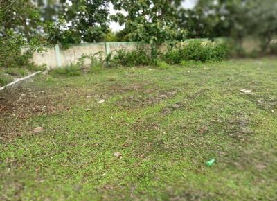 Image of 1800 Sq.ft Residential Plot / Land for sale in Thiruvallur, Chennai for Rs. 1460000