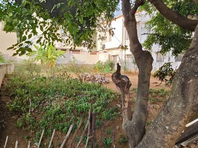 Image of 1500 Sq.ft Residential Plot / Land for sale in Virupakshapura, Bengaluru for Rs. 24000000