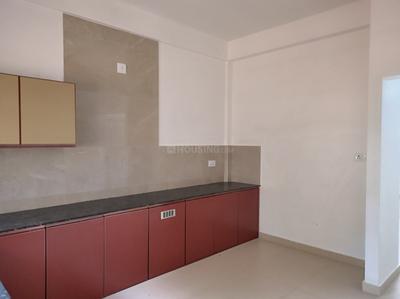 Kitchen Image of 1250 Sq.ft 2 BHK Apartment / Flat for rent in Maradu Kochi for Rs. 21000