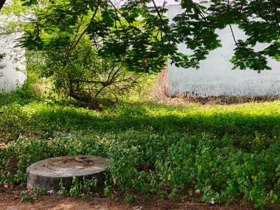 Image of 1100 Sq.ft Residential Plot / Land for sale in Amrapali Modern Township, Rau, Indore for Rs. 3740000