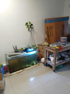 Study Room Image of 1360 Sq.ft 4 BHK Builder Floor for sale in Baruipur Kolkata for Rs. 5000000