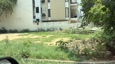 Residential Plot