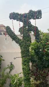 Image of 3380 Sq.ft 5 BHK Independent House for sale in Dalanwala, Dehradun for Rs. 50000000