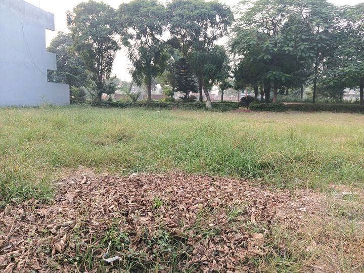 Sector 99 Main Image 1