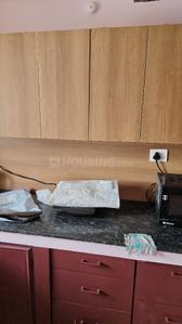 Kitchen Image of 820 Sq.ft 2 BHK Apartment / Flat for rent in Shwas Fortuna, Thrippunithura Kochi for Rs. 25000