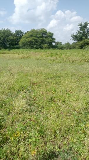 Zaheerabad Shanti Nagar Site Plan 1