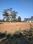 Karmabhumi 1 Plot View 2