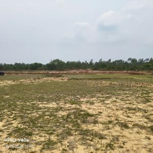 Image of 1500 Sq.ft Residential Plot / Land for sale in Ashok Nagar, Bhubaneswar for Rs. 1050000