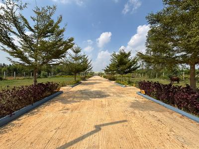 Image of 1200 Sq.ft Residential Plot / Land for sale in Anekal, Bengaluru for Rs. 4700000
