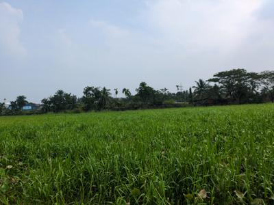 Image of 1440 Sq.ft Residential Plot / Land for sale in Wander Valley, Joka, Kolkata for Rs. 514222