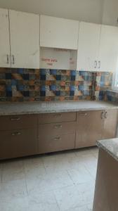 Kitchen Image of 1335 Sq.ft 2.5 BHK Apartment / Flat for sale in Future Estate, Noida Extension Greater Noida for Rs. 10666650