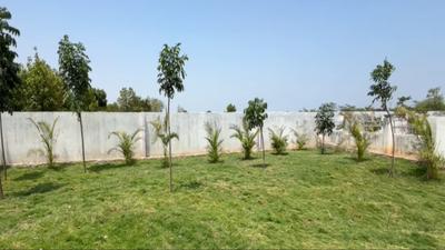 Image of 1575 Sq.ft Residential Plot / Land for sale in Maheshwaram, Hyderabad for Rs. 4199825