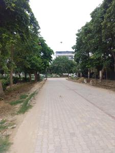 Image of 220 Sq.ft Residential Plot / Land for sale in Sector 31, Gurgaon for Rs. 82500000