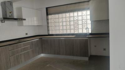 Kitchen Image of 3550 Sq.ft 4.5 BHK Apartment / Flat for sale in Naiknavare Eminence, Viman Nagar Pune for Rs. 47500000