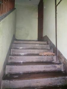 Staircase Image of 4000 Sq.ft 7 BHK Independent House for sale in Barasat Kolkata for Rs. 7500000