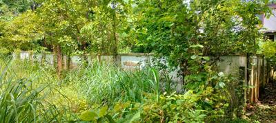 Image of 4356 Sq.ft Residential Plot / Land for sale in Velappaya, Killannur, Thrissur for Rs. 5750000
