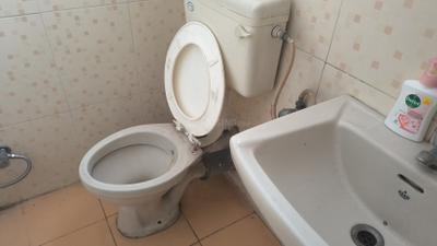 Image of 900 Sq.ft 2 BHK Apartment / Flat for rent in Magarpatta Grevillea, Magarpatta City, Pune for Rs. 32000