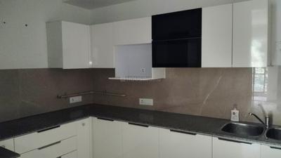 Kitchen Image of 1600 Sq.ft 3 BHK Apartment / Flat for rent in Beverly Golf Avenue, Sector 65 Mohali for Rs. 70000