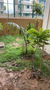 Image of 2000 Sq.ft 3 BHK Villa for sale in Shantee Orchid Villas, Naigaon East, Naigaon for Rs. 11200000