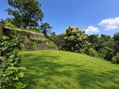 Image of 350 Sq.ft Residential Plot / Land for sale in Malsi, Dehradun for Rs. 24500000