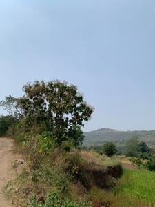 Image of 11000 Sq.ft Residential Plot / Land for sale in Shirvali, Bhor, Pune for Rs. 2080000