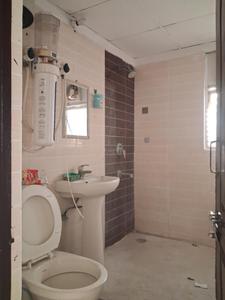 Common Bathroom Image of 1200 Sq.ft 3 BHK Apartment / Flat for sale in Amrapali Zodiac, Sector 120 Noida for Rs. 11800000