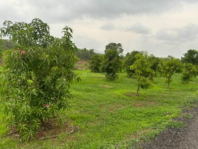 Image of 624 Sq.ft 1 BHK Farm House for sale in Palghar, Mumbai for Rs. 20000000