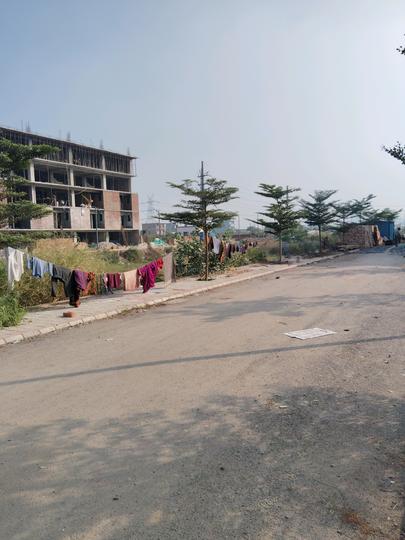 Skywhales Vienna Greens II Main Image 1