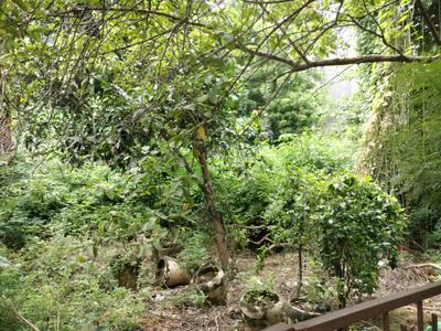Image of 5400 Sq.ft Residential Plot / Land for sale in Sector 14, Faridabad for Rs. 130000000