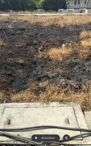 Residential Plot