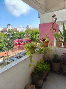Balcony Image of 700 Sq.ft 2 BHK Apartment / Flat for sale in Sara Elite, Waluj Aurangabad for Rs. 3700000