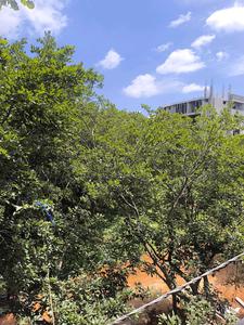 Bedroom Four Image of 3150 Sq.ft 5 BHK Apartment / Flat for sale in Vajarahalli Bengaluru for Rs. 29000000