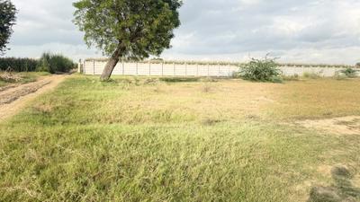 Image of 1800 Sq.ft Residential Plot / Land for sale in Barsana, Mathura for Rs. 2000000