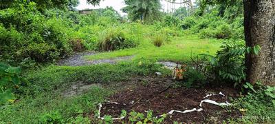 Image of 18000 Sq.ft Residential Plot / Land for sale in Rajpur, Kolkata for Rs. 37500000