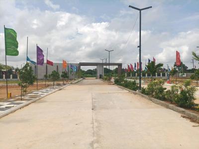 Century Nature City Internal Roads 2