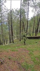 Image of 100 Sq.ft Residential Plot / Land for sale in Dugadda, Pauri Garhwal for Rs. 1800000