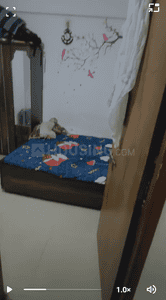 Image of 343 Sq.ft 1 BHK Apartment / Flat for sale in Signature Vrajdham, Ujala Circle, Ahmedabad for Rs. 3000000