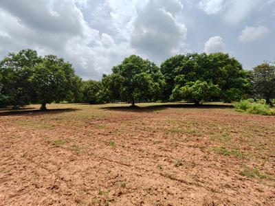 Image of 39300 Sq.ft Residential Plot / Land for sale in Kothapalle, Hyderabad for Rs. 60900000