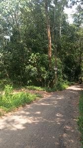 Image of 3876 Sq.ft Residential Plot / Land for sale in Mulanthuruthy, Kochi for Rs. 225000
