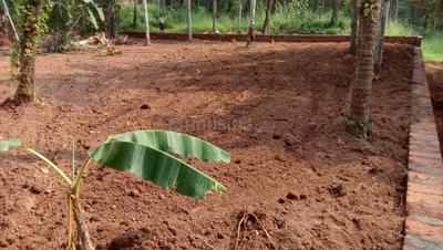 Image of 445 Sq.ft Residential Plot / Land for sale in Kuthuparamba, Kannur for Rs. 2700000