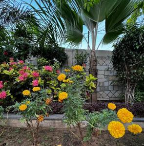 Image of 1980 Sq.ft 3 BHK Apartment / Flat for sale in Satellite, Ahmedabad for Rs. 12500000