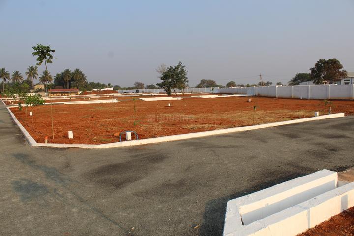 Peedampalli Main Image 1
